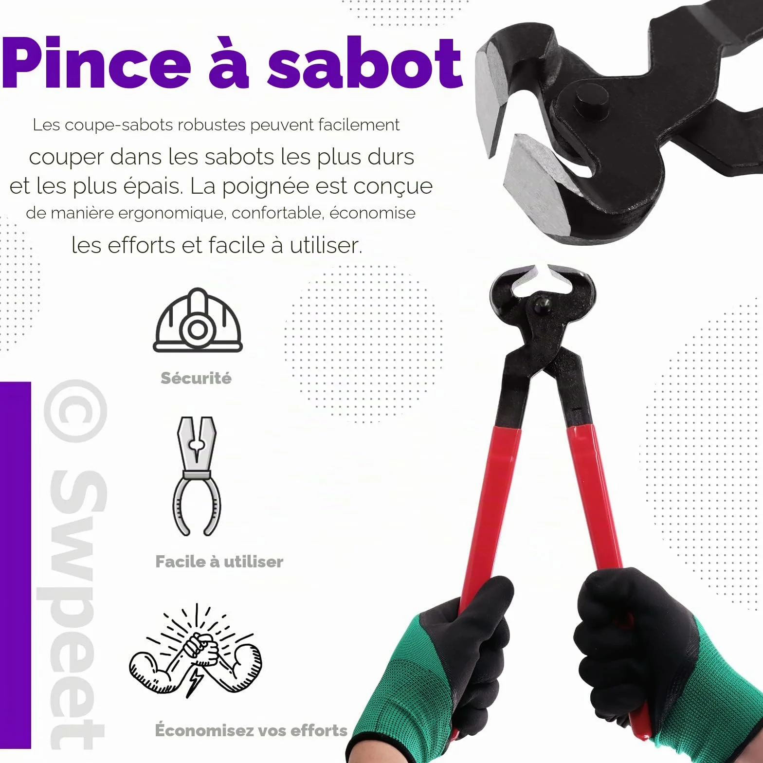 Swpeet Kit de 8 pièces d'outils de maréchalerie professionnels avec cisailles, coupe-sabot, lime et pince