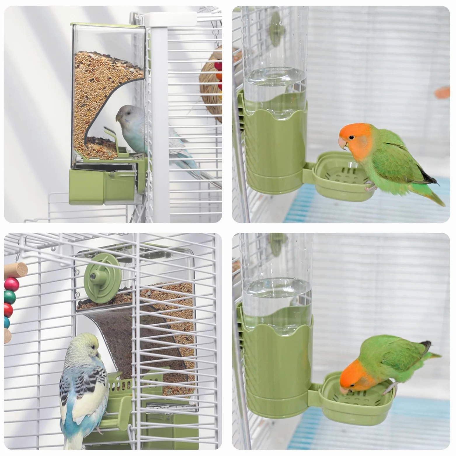 Distributeur d'eau sans désordre pour oiseaux, mangeoire automatique avec perchoir pour graines, perruches, canaris, calopsittes, pinsons, perruches (vert)