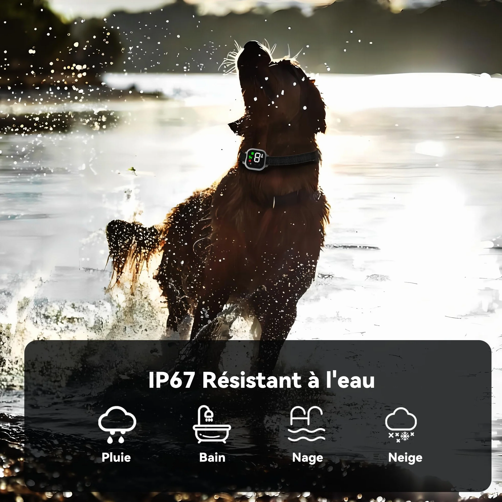 Collier Anti Aboiement Chien Intelligent 4 Modes Son Vibration Choc Statique IP67 Étanche Rechargeable Blanc