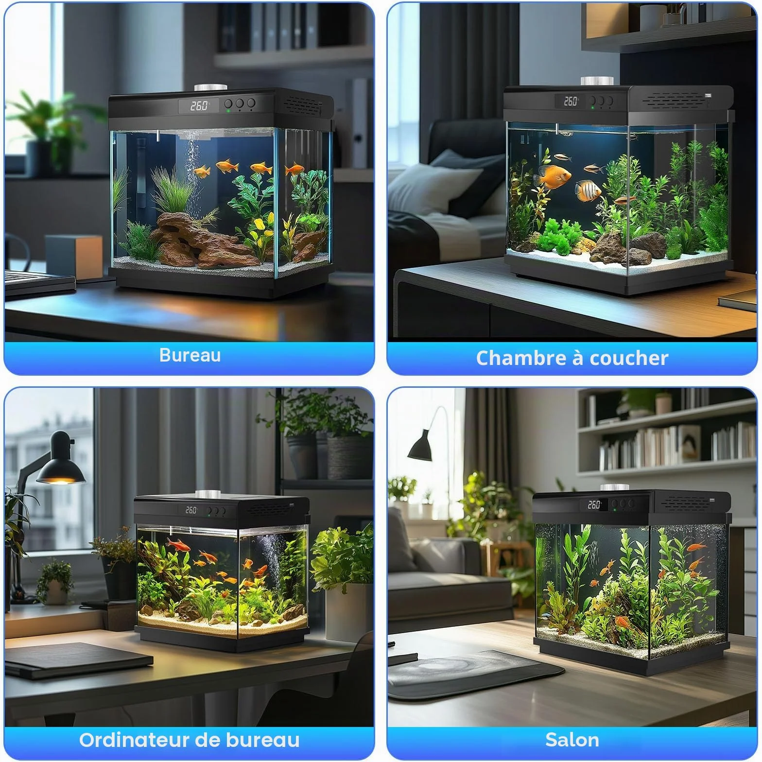 AQQA Kit de Démarrage Aquarium 14 L en Verre avec Filtre LED, 10 Couleurs Réglables, Nano Betta