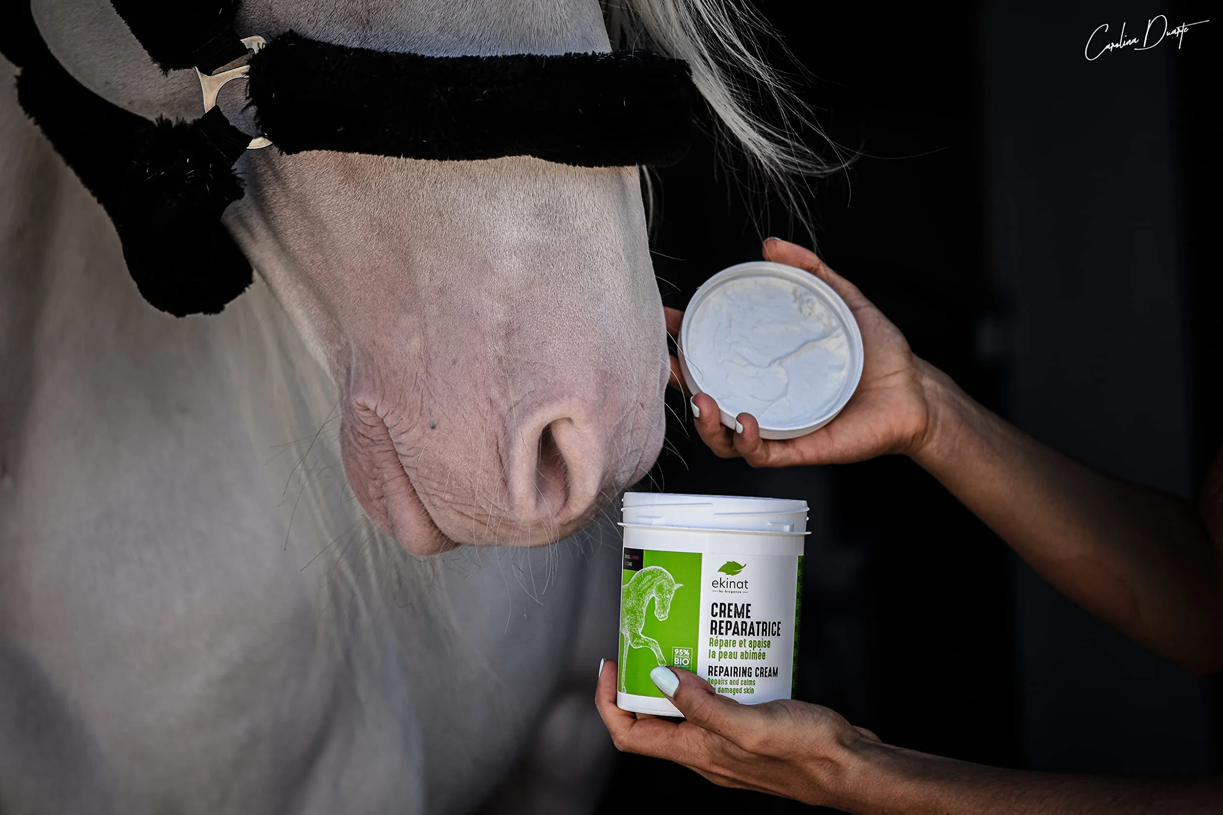 Crème Réparatrice pour Chevaux