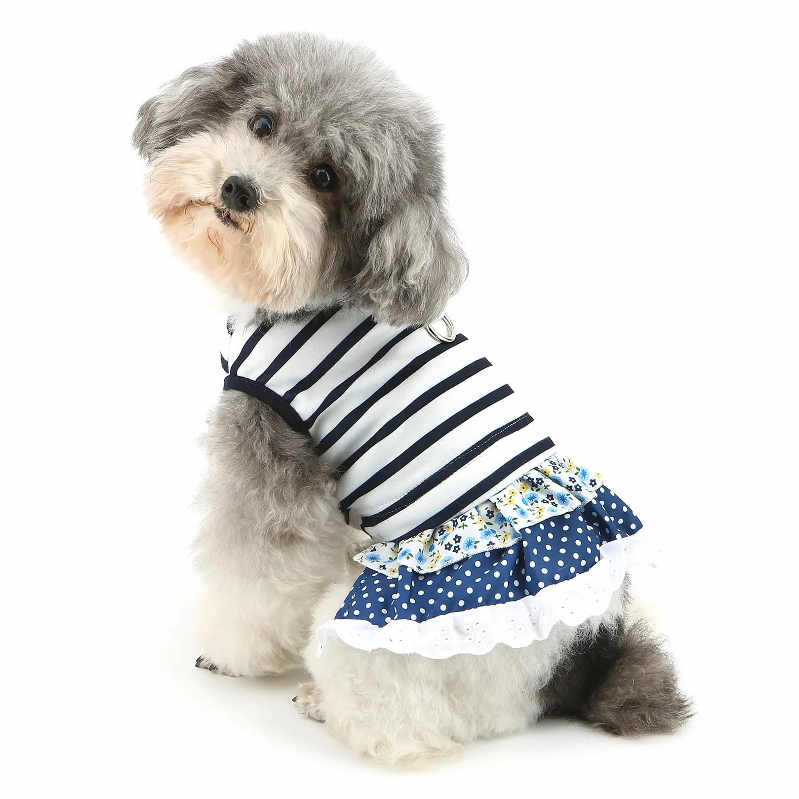 Robe rayures nautiques chien XL jupe dentelle florale pois anneau D yorkshire chihuahua printemps été