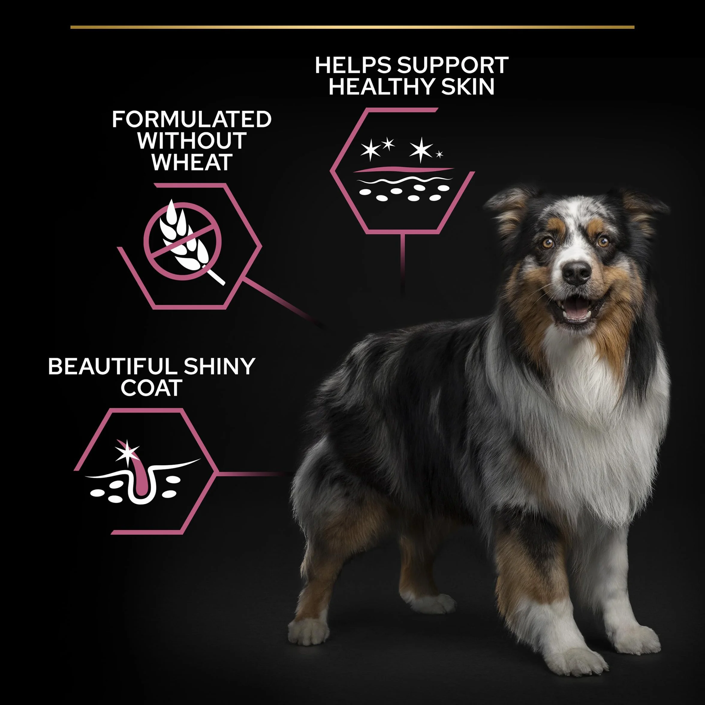 Purina PRO PLAN Aliment Sec Chien Adulte Taille Moyenne Peau Sensible Sans Blé Saumon 14 kg