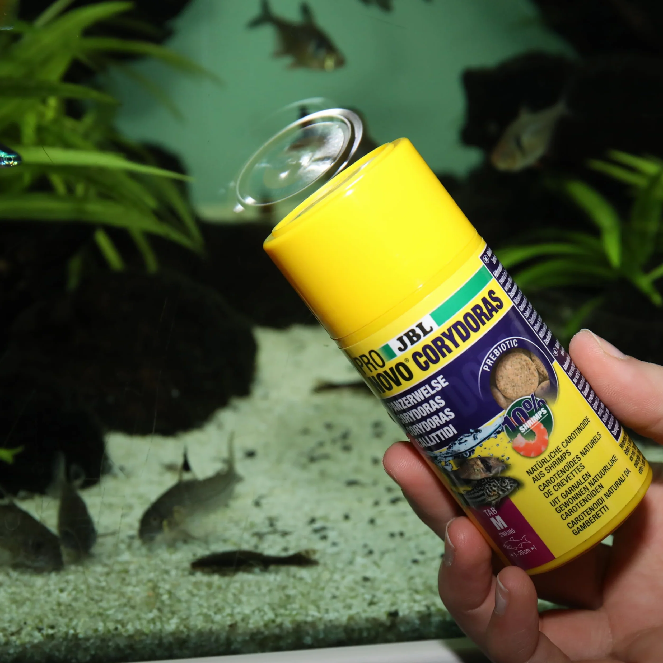 JBL PRONOVO CORYDORAS TAB, Aliment de Base pour Callichthyidés, Comprimés pour Poissons, 100 ml