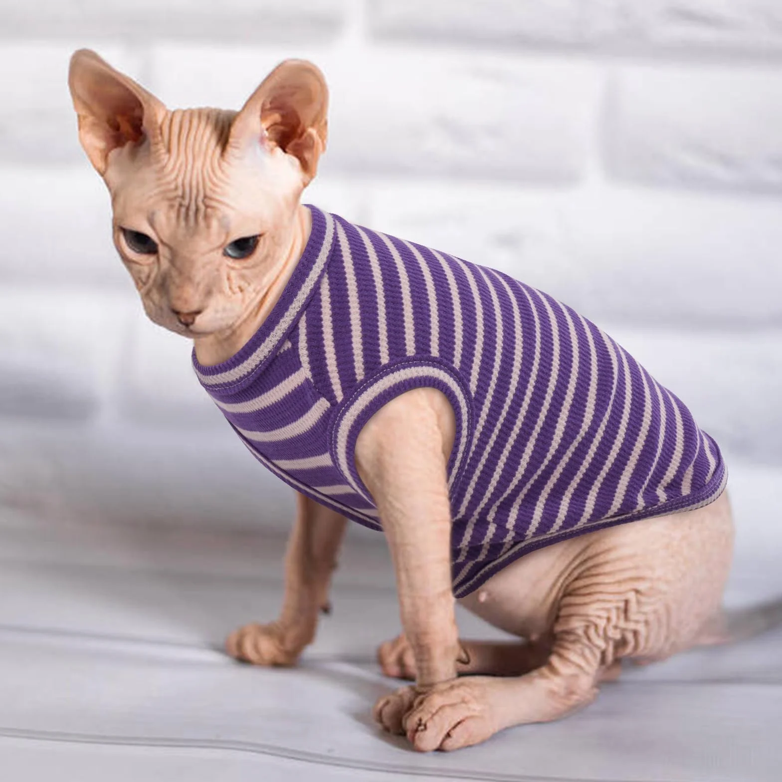 Sphynx Vêtements pour chat T-shirts respirants sans poils rayures sans manches pull-over été animaux de compagnie Cornish Rex