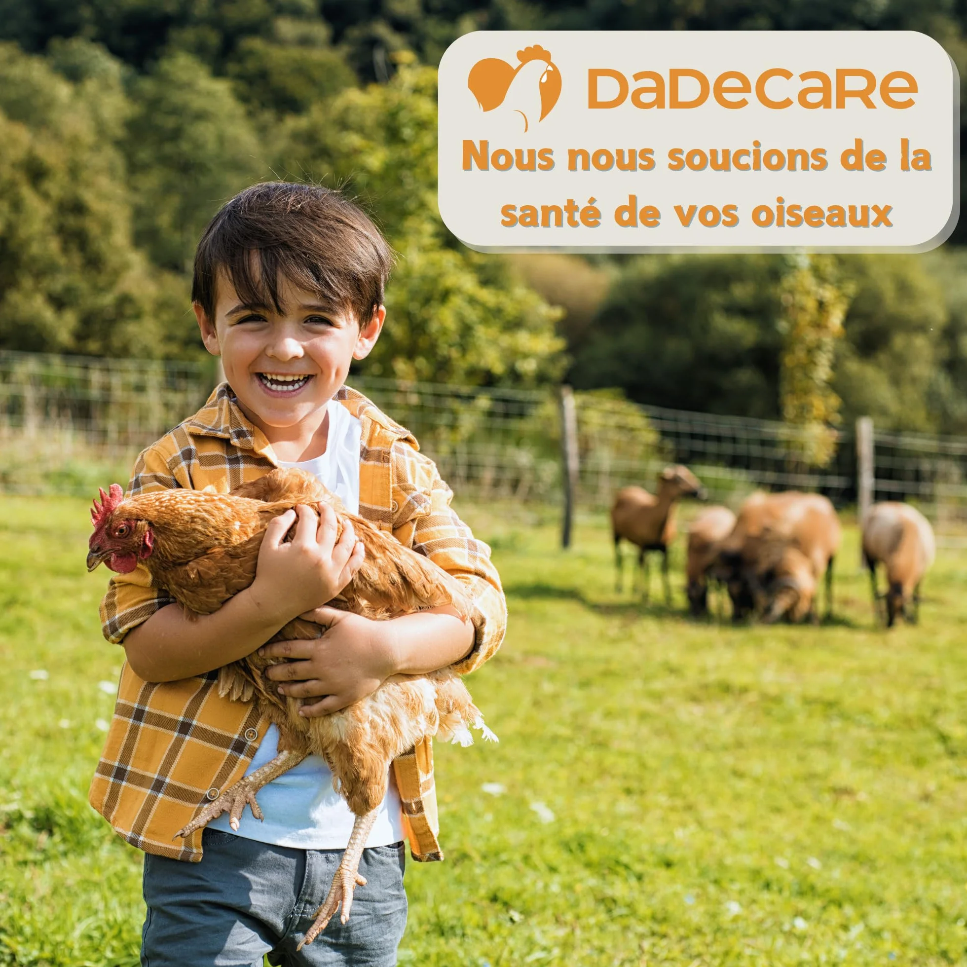 Boostcare Multivitamines 6 en 1 250 ML Oiseaux | Vitamines A-E-D-C-B | Nourriture complémentaire pour Poules, Poulets, Pigeons, Perroquets