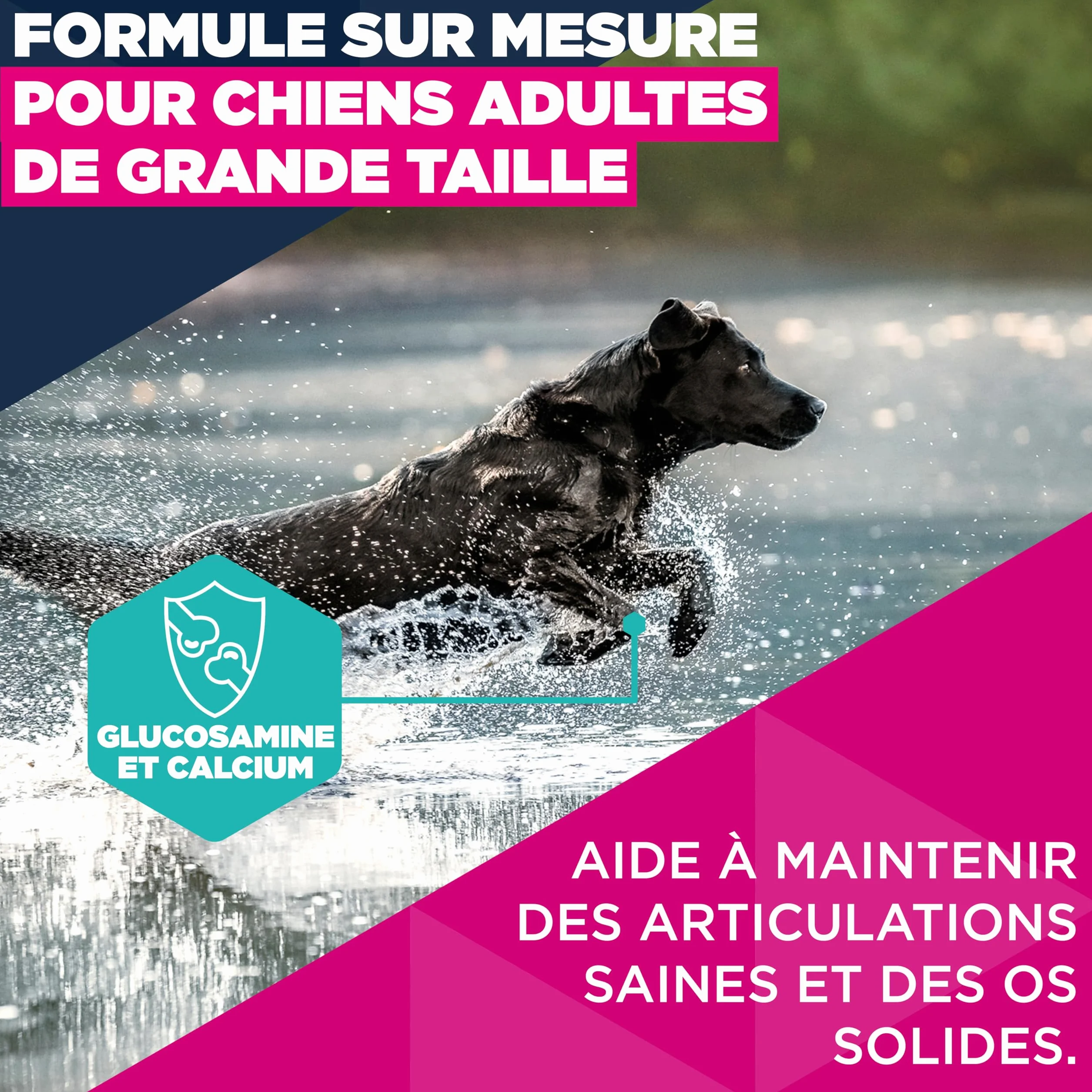 EUKANUBA Life Care Croquettes Chien Adulte Grande Race 15 kg