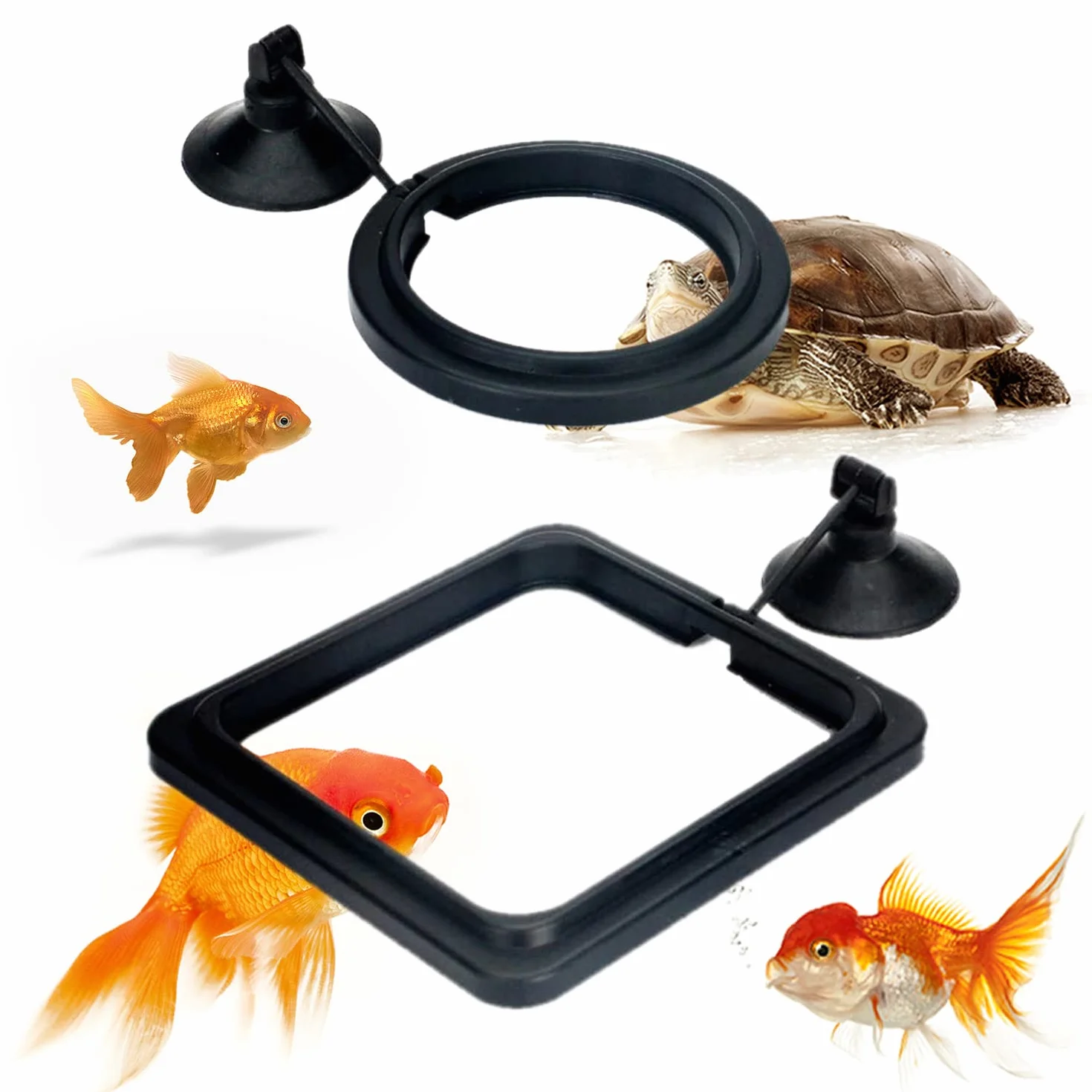 Anneau d'alimentation pour Aquarium avec Ventouse