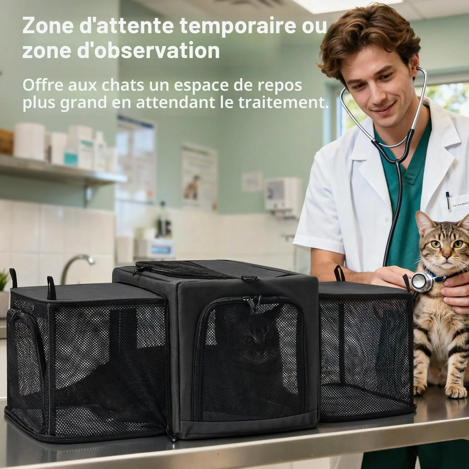 Pecute Sac de Transport Extensible Extra Stable en Maille Respirante pour Chat avec Zone Cachée, Gris Foncé