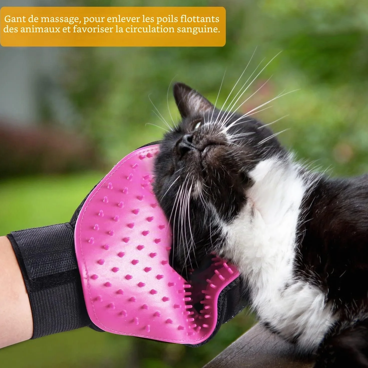 Gants de Toilettage pour Chien Chat Brosse Poil Massage Bain Récupération Ajustable 1 Paire