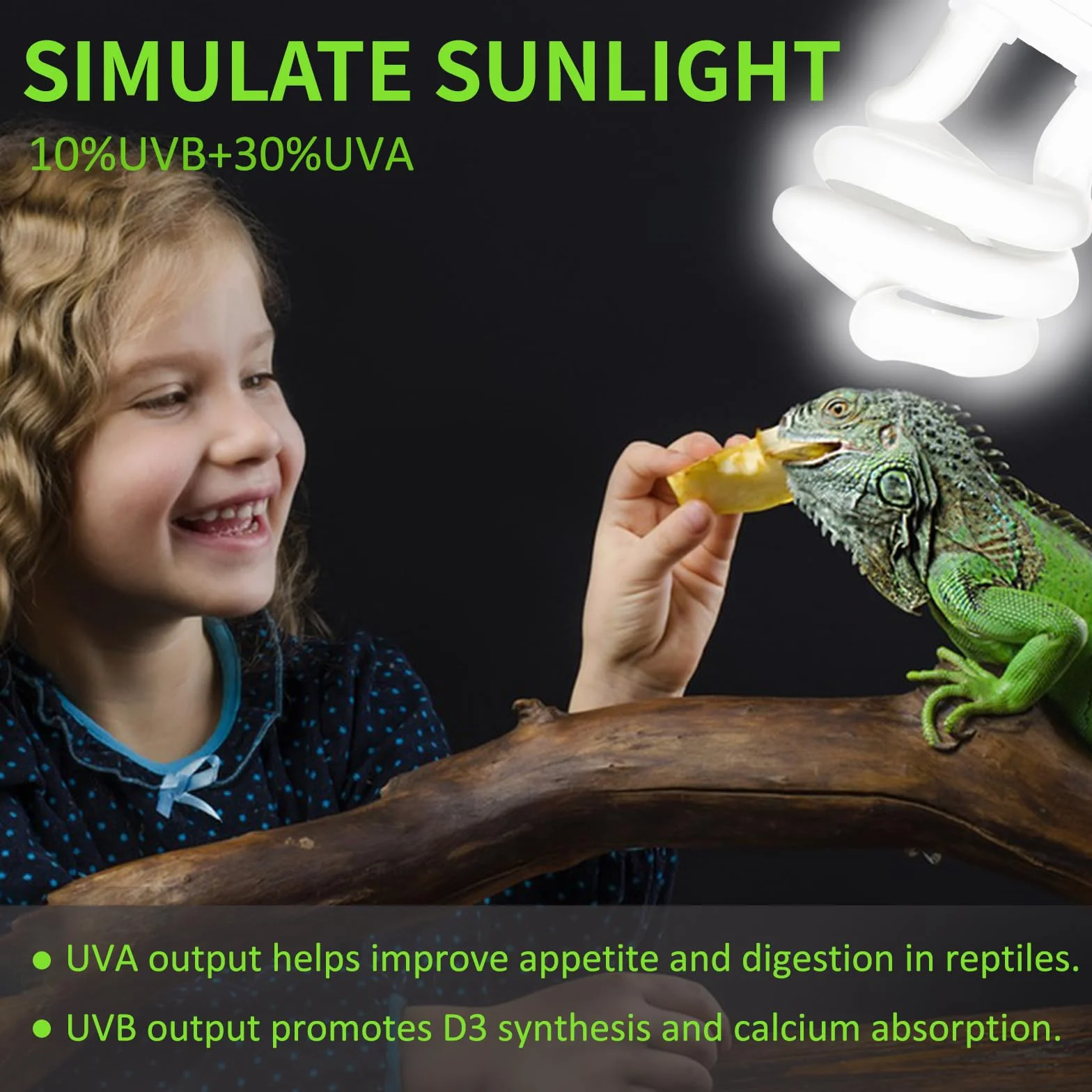 Caldarax 13W Ampoule UVA UVB 10.0 E27 pour Reptiles Tortue Terrarium 220V
