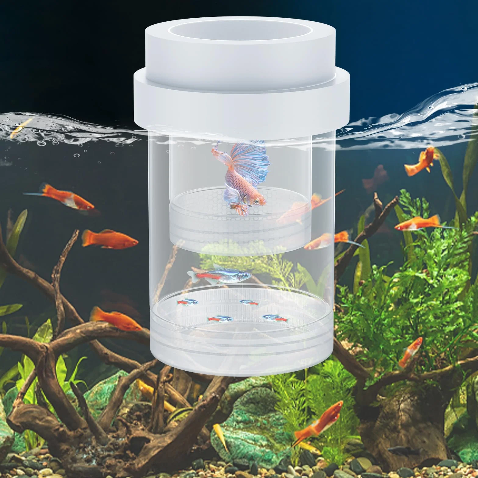 Pawfly Boîte d'élevage pour Aquarium Flottante Reproduction Guppys Séparateur Alevins Incubateur Plastique Crevettes Betta Poisson-Clown Moyen