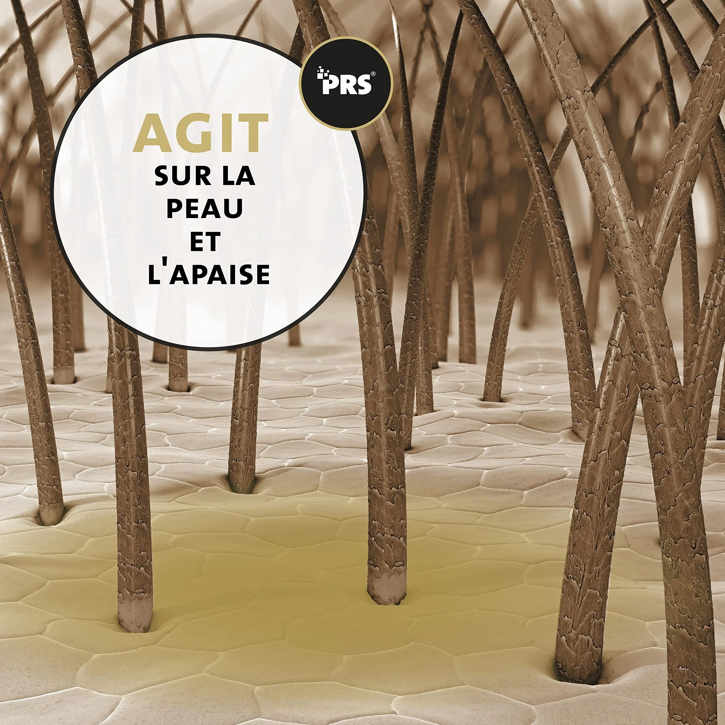Peticare Shampoing Anti-Acariens Anti-Puces Chevaux Soin Peau Sensible