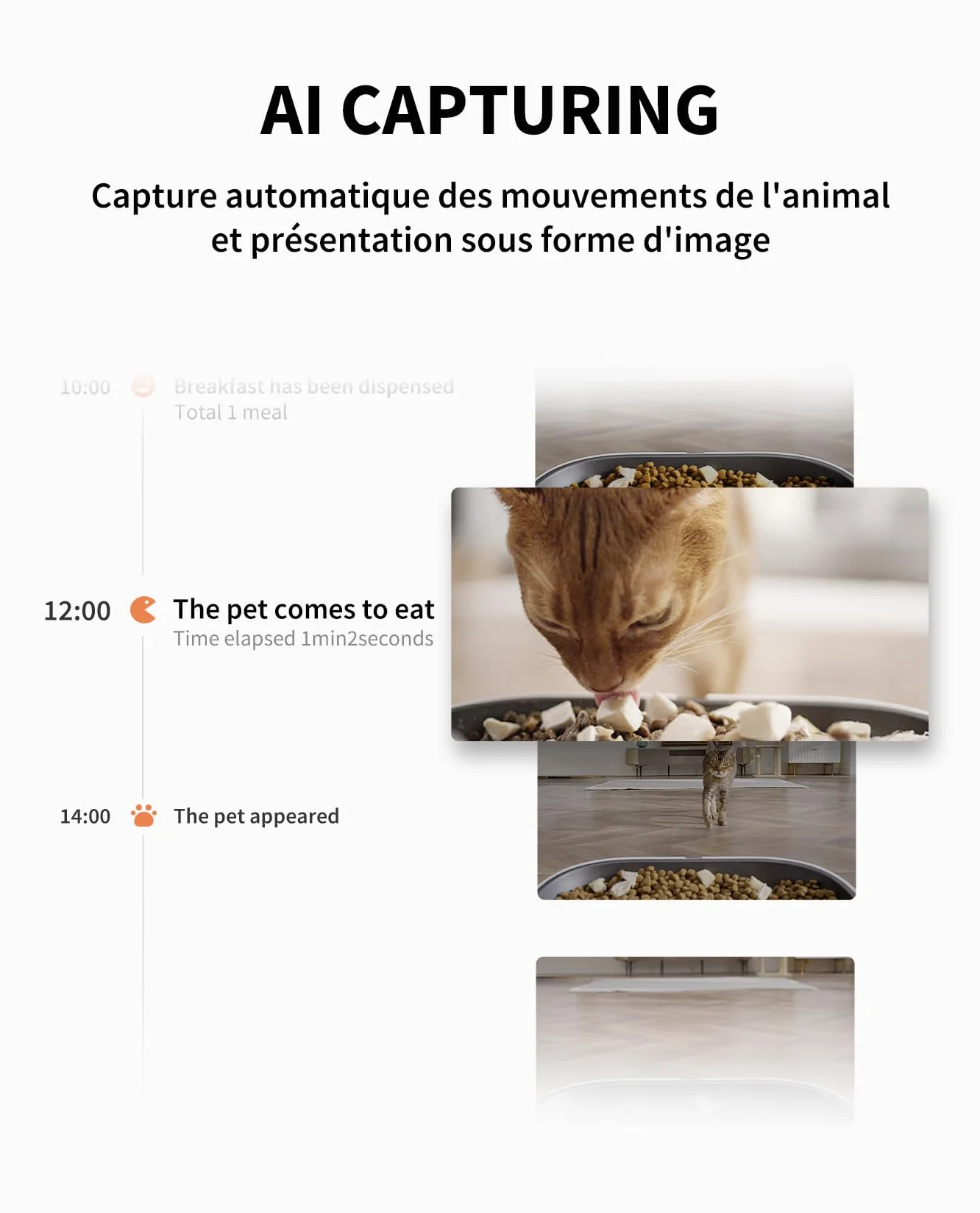 PETKIT Distributeur Automatique de Croquettes pour Chat Caméra HD 1080P Vision Nocturne Wi-Fi 2.4G Double Trémie 5L Bol INOX