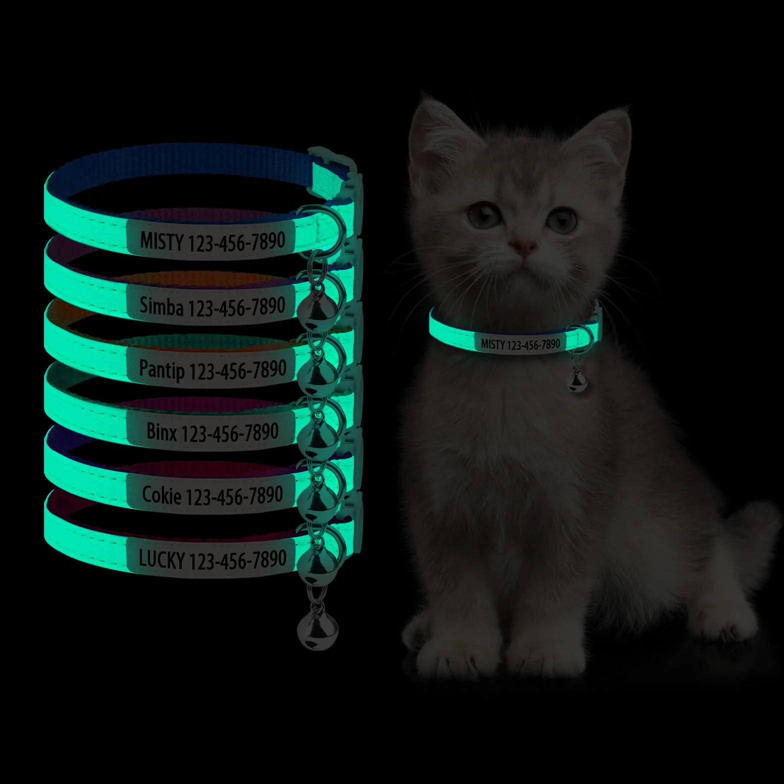 Collier phosphorescent personnalisé pour chat avec nom et numéro de téléphone, collier lumineux réglable à dégagement rapide