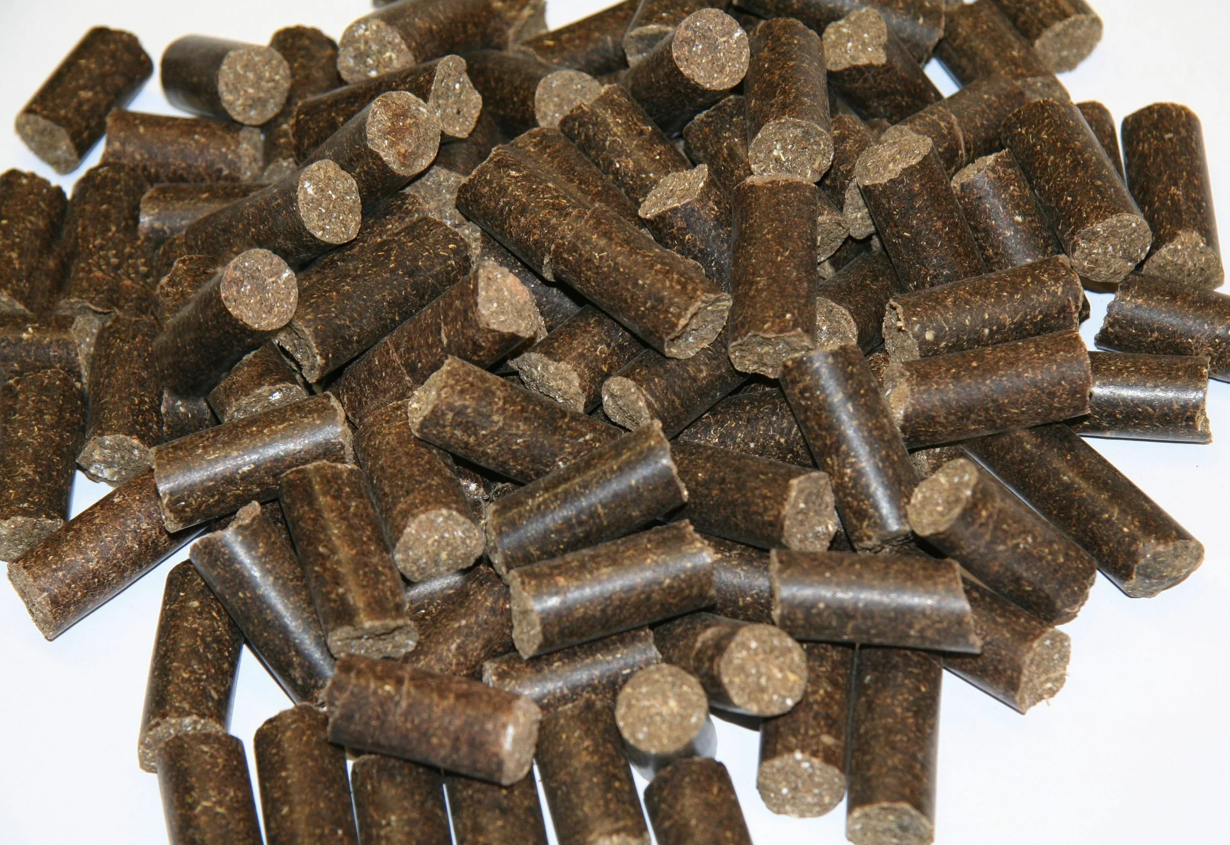 Kerbl Friandise Delizia réglisse 1 kg pour Chevaux