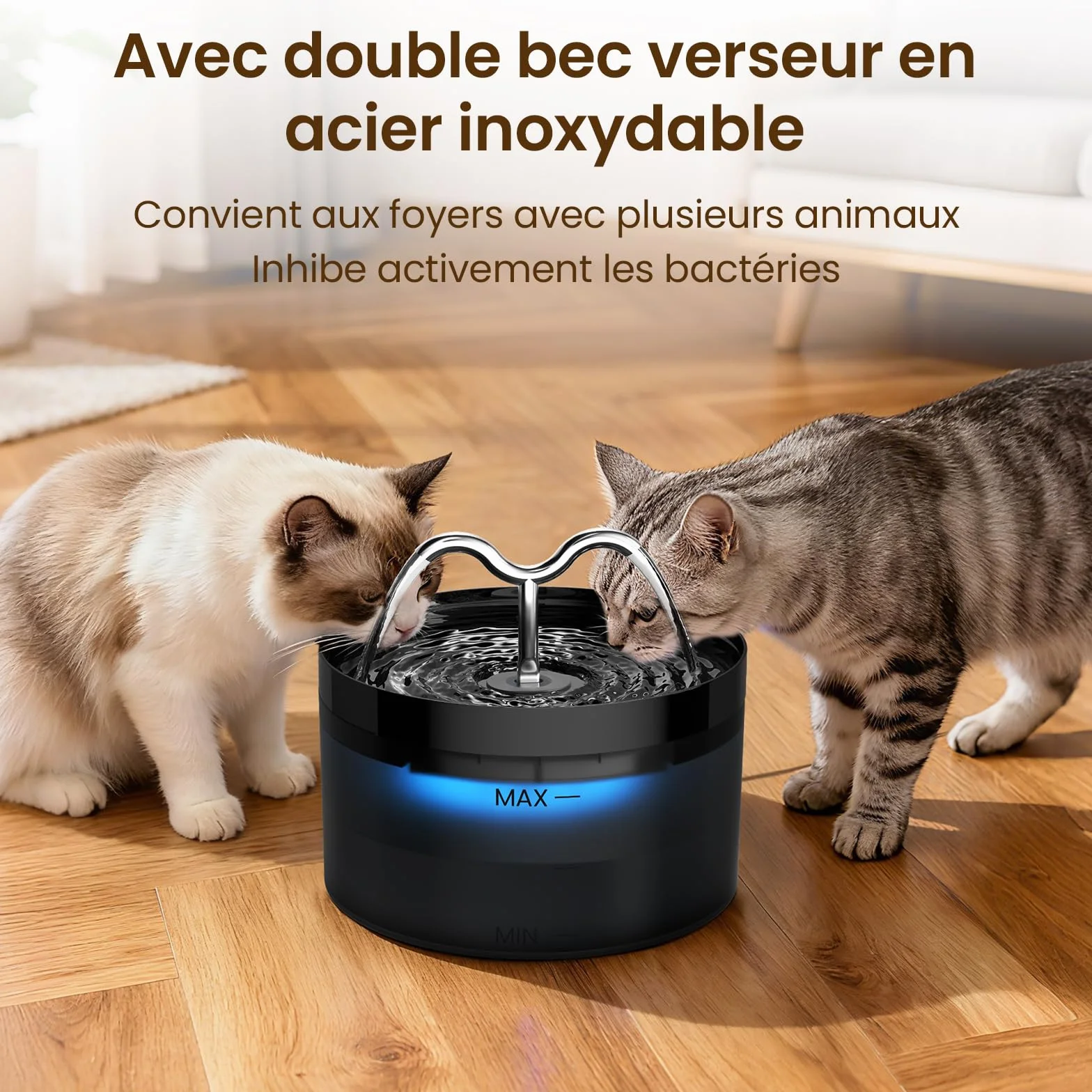 Fontaine à Eau Chat 2.1L avec Lampe LED et Pompe Silencieuse, Distributeur pour Chien, 3 Filtres et Éponges Inclus