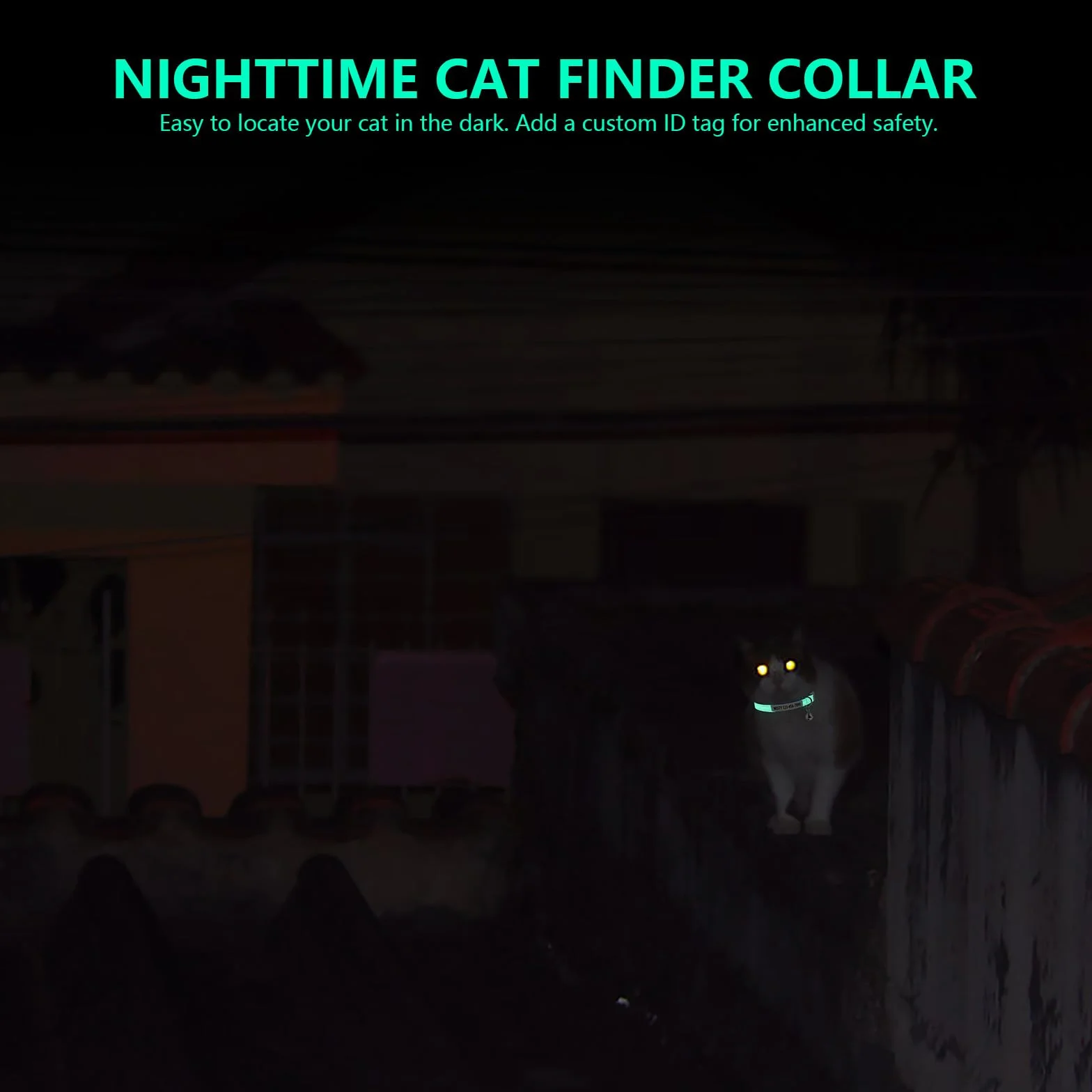Collier phosphorescent personnalisé pour chat avec nom et numéro de téléphone, collier lumineux réglable à dégagement rapide