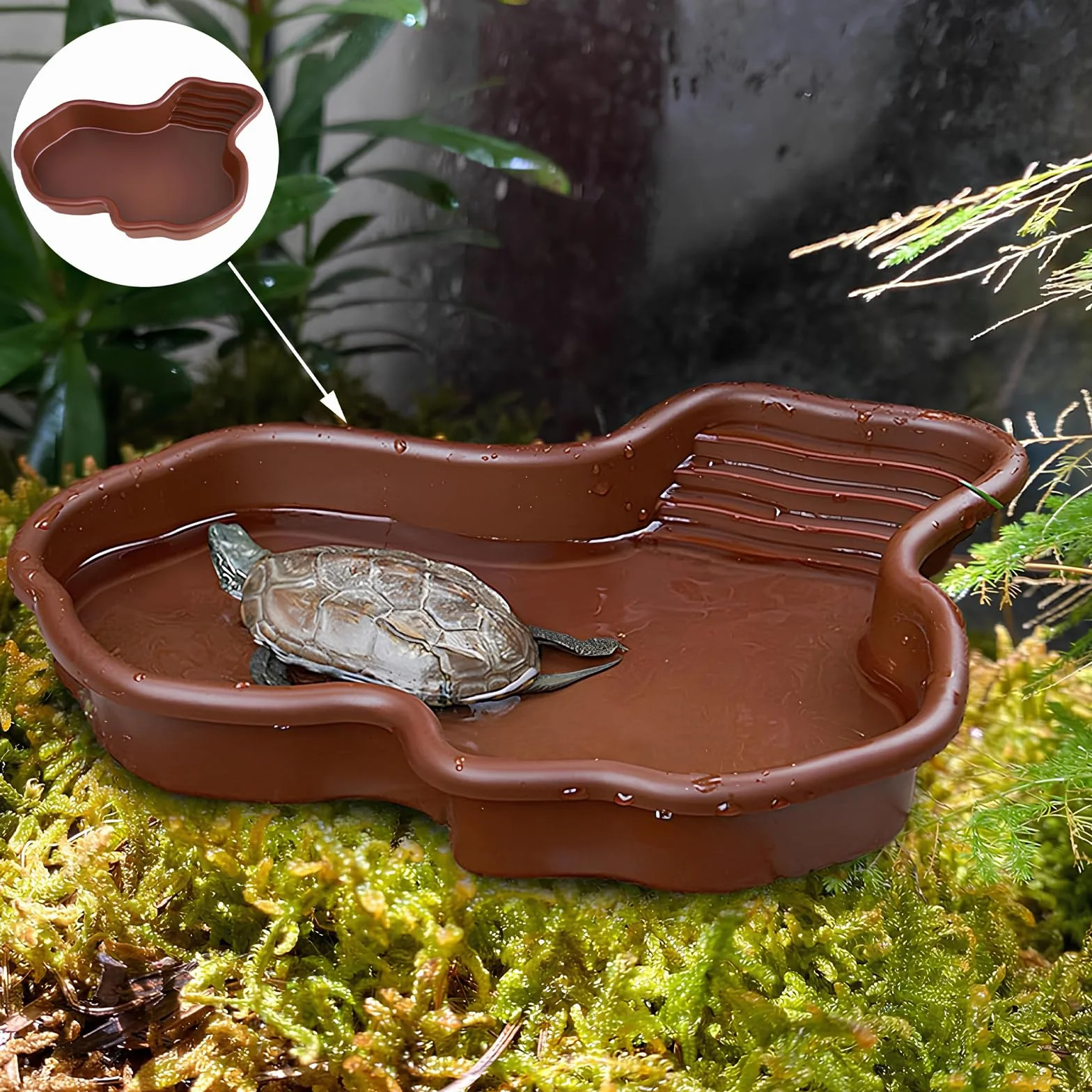Bol de Bain pour Tortues Reptiles Grand Plat d'Eau Amphibiens