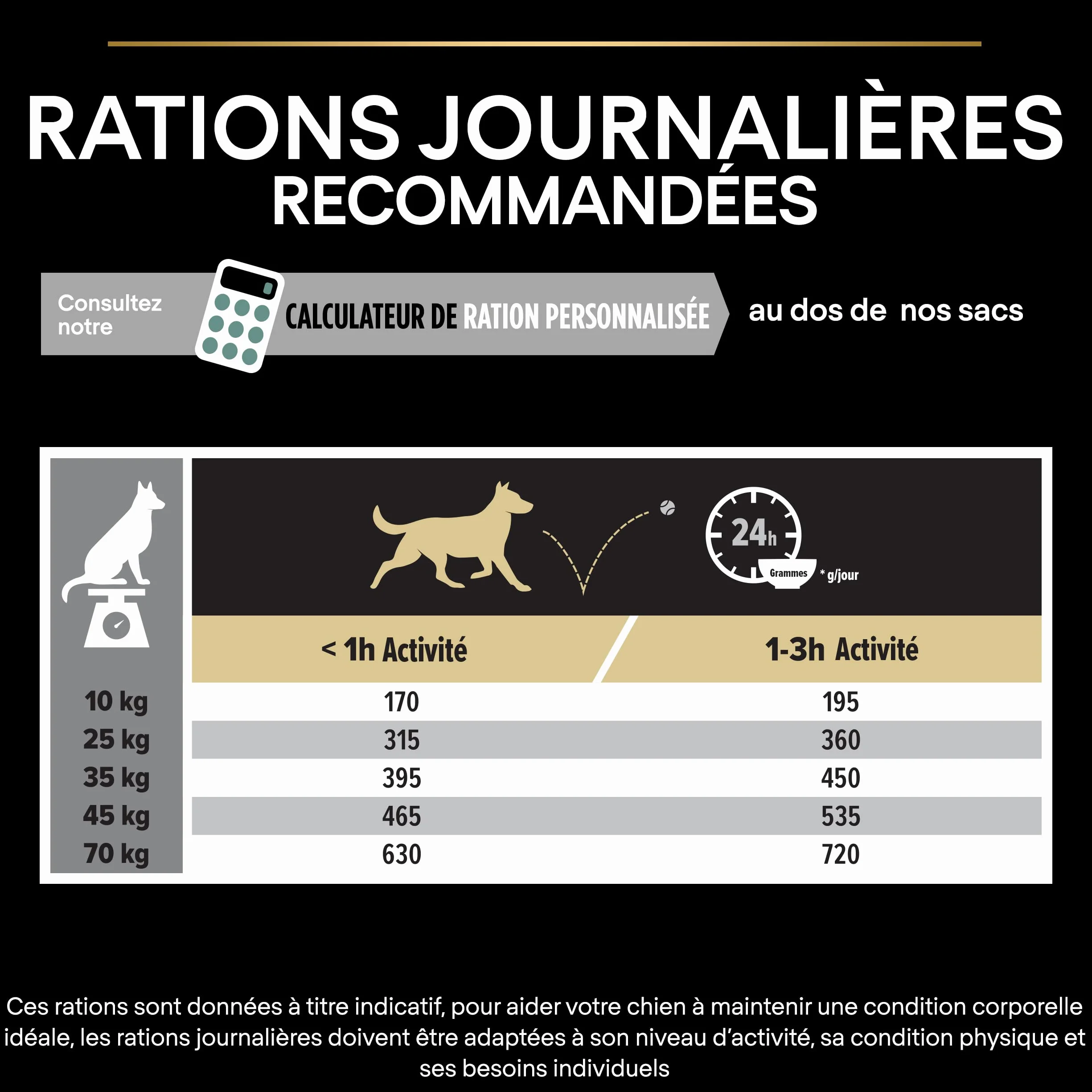 PURINA PRO PLAN Croquettes sans céréales pour chien adulte grande taille Digestion Sensible Dinde 12kg