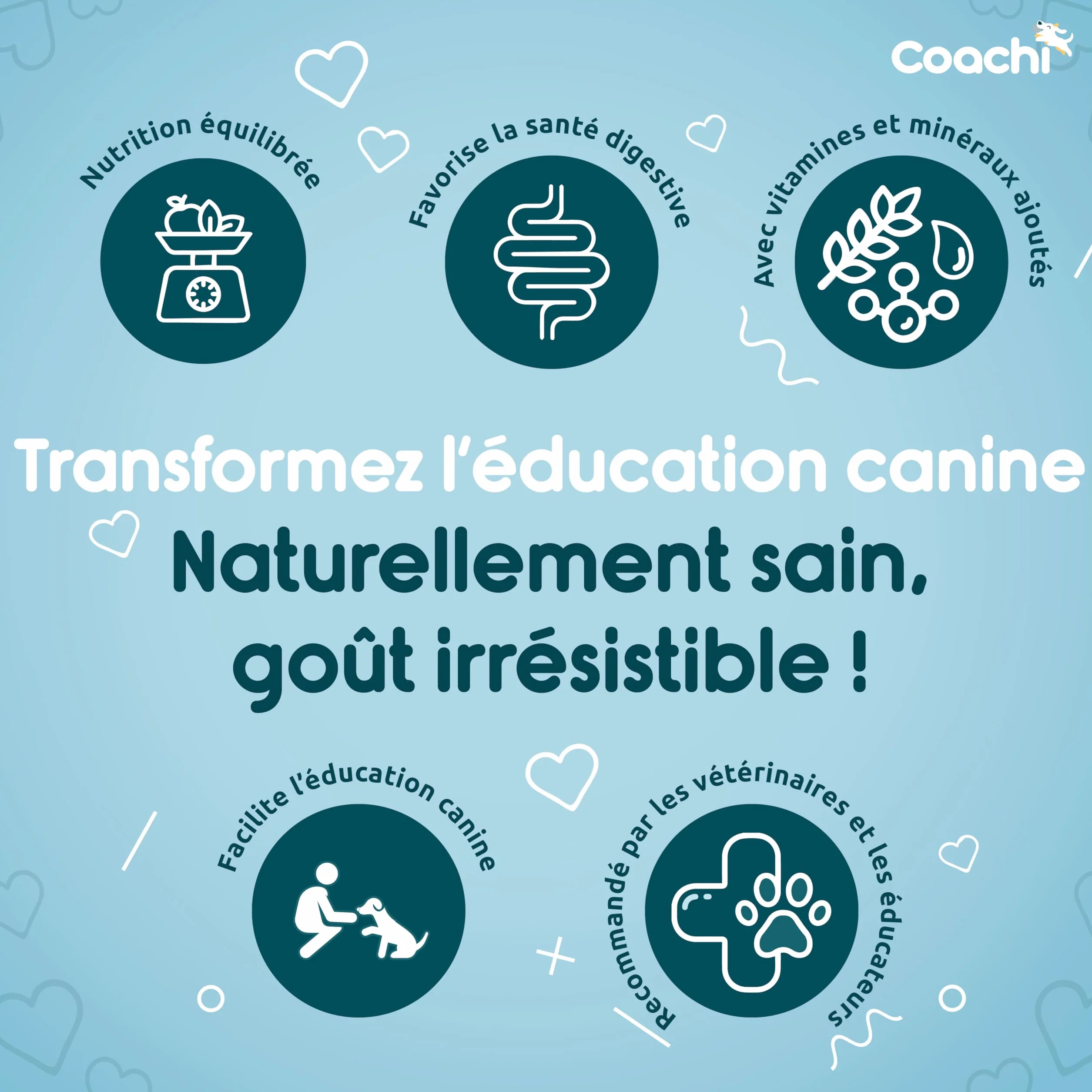 Coachi Friandises Naturelles pour Chiots sans Céréales Hypoallergéniques Moelleuses Poulet 100g
