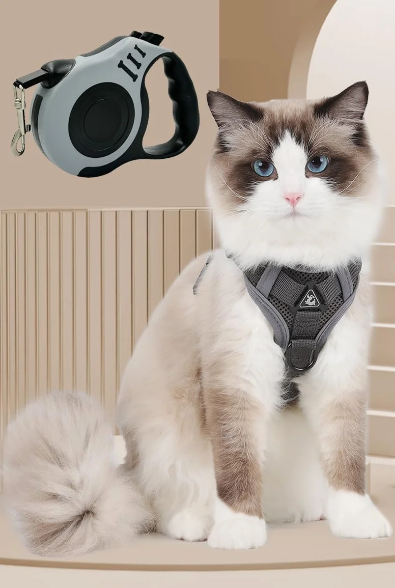 Harnet Harnais Réglable pour Chaton Chiot avec Bandes Réfléchissantes Laisse 3m