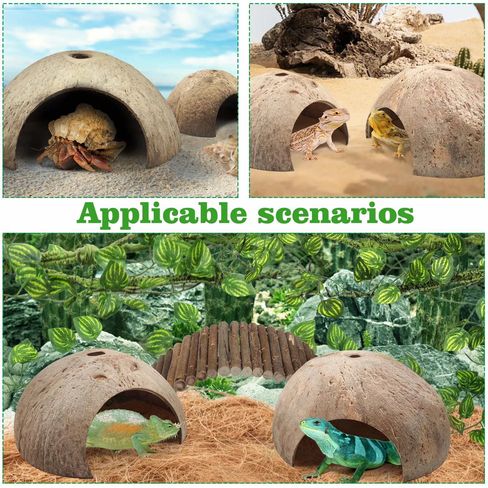 QUOZUO Accessoires de réservoir de gecko à crête, plantes grimpantes pour reptiles avec coquilles de noix de coco, pont, cachette
