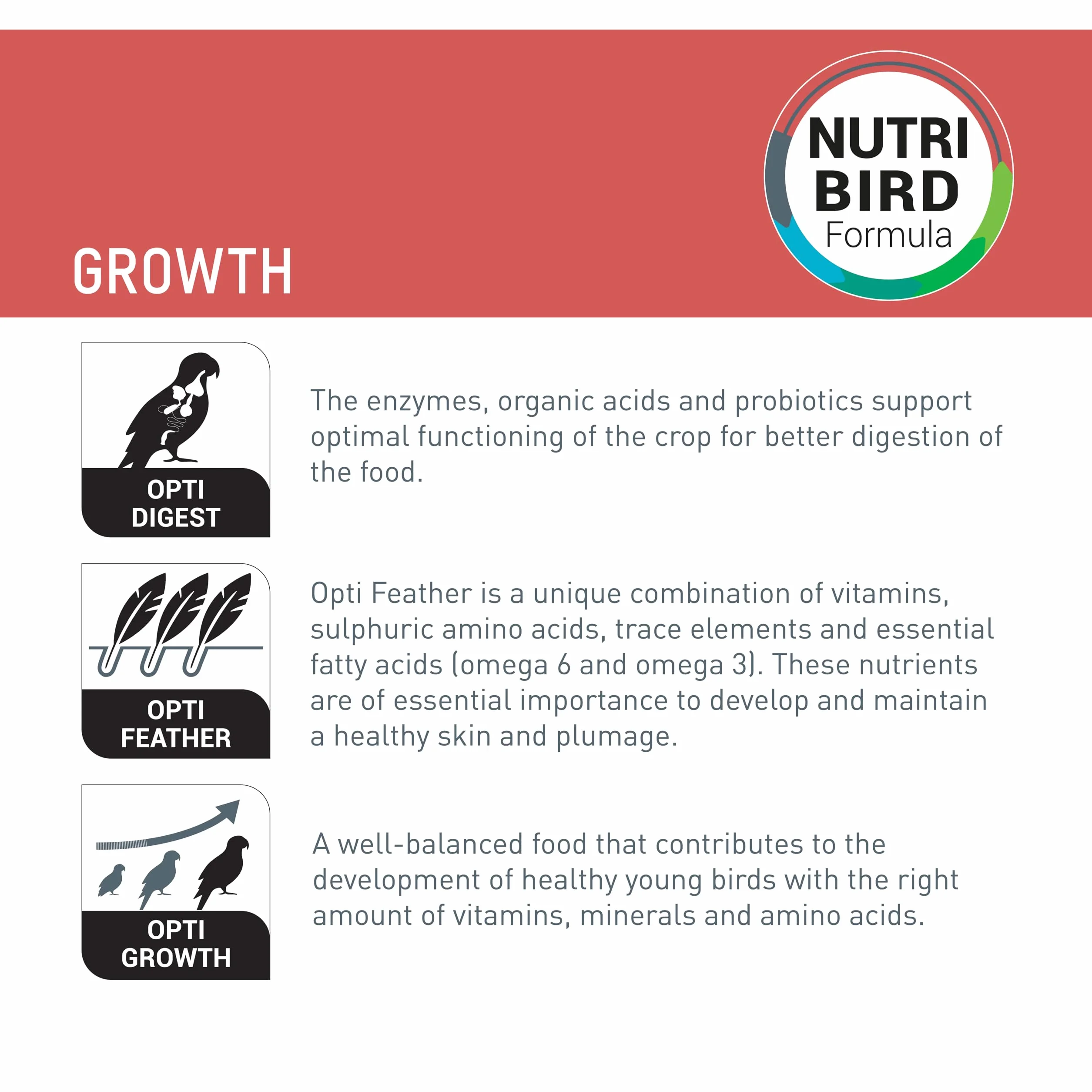 Nutribird A21 Elevage à la Main pour Oisillons Besoin élevé en Protéines 250gr