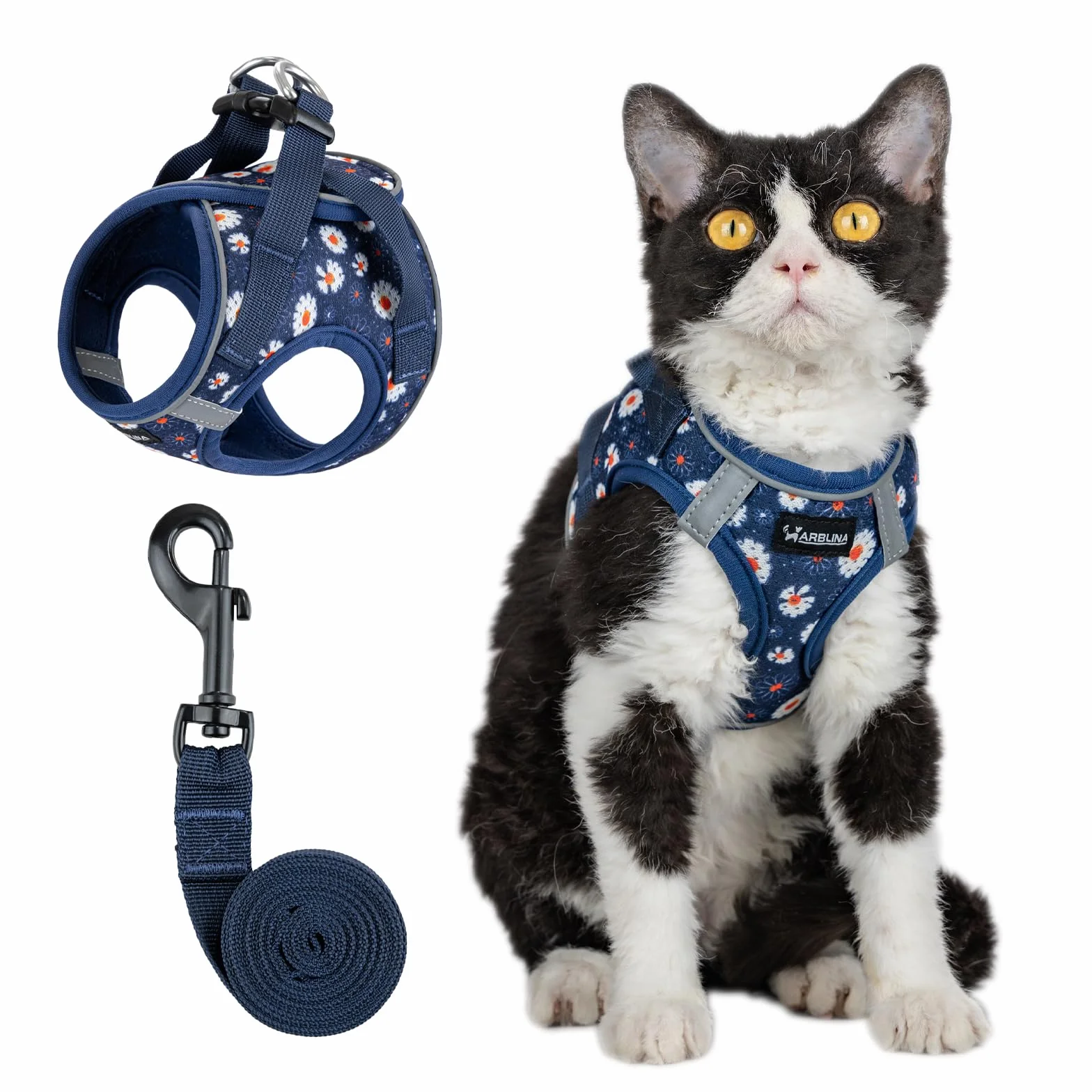 Harnais pour Chat Arblina avec Laisse Souple et Respirant Réflecteurs, Bleu XS