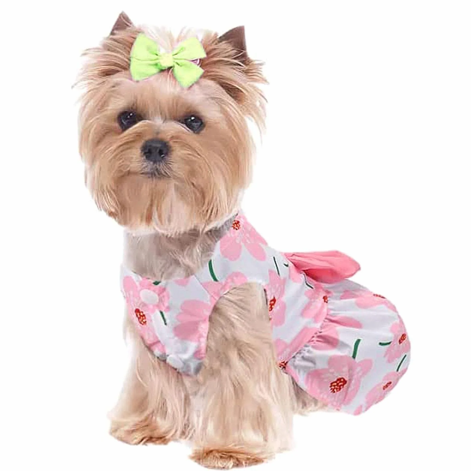 Robe pour chien avec nœud et fleurs décoratives – été mignonne pour chihuahua Yorkie taille XS bleu