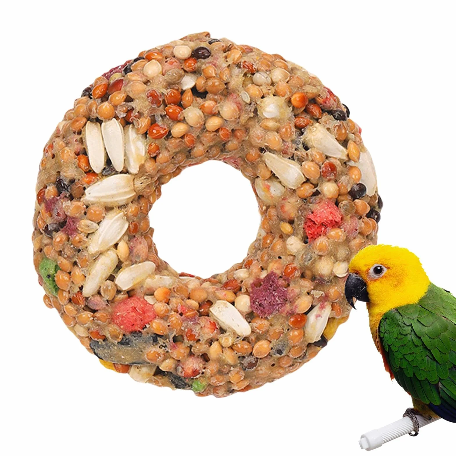 Friandises pour Calopsittes Anneau À Mâcher en Grains Enrichissement Jeu Perruches Inséparables Volière