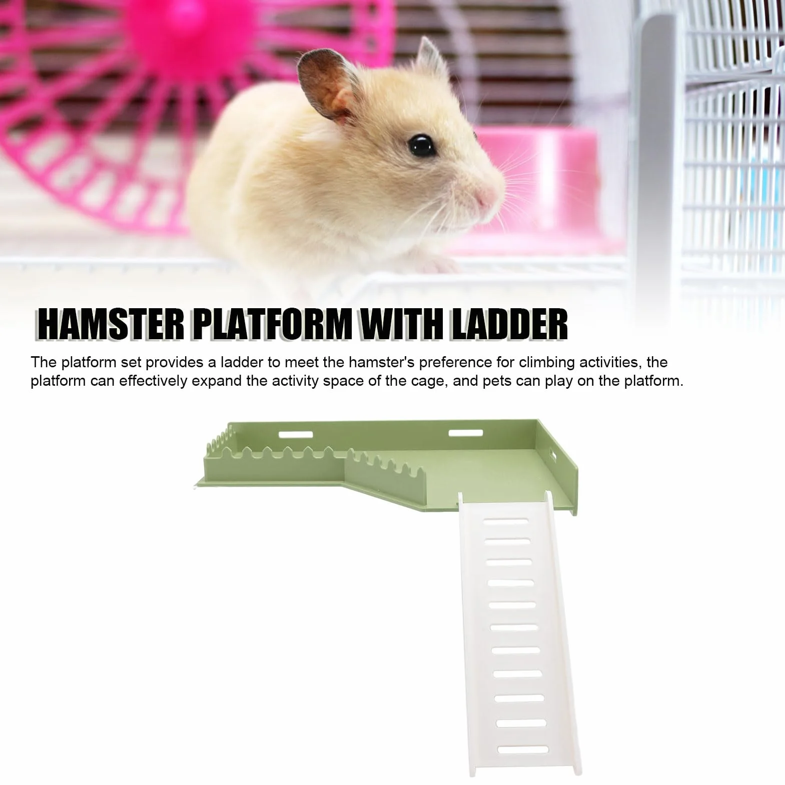 Plateforme de Jeu pour Hamster en Plastique avec échelle - Jouets Interactifs pour Petits Animaux