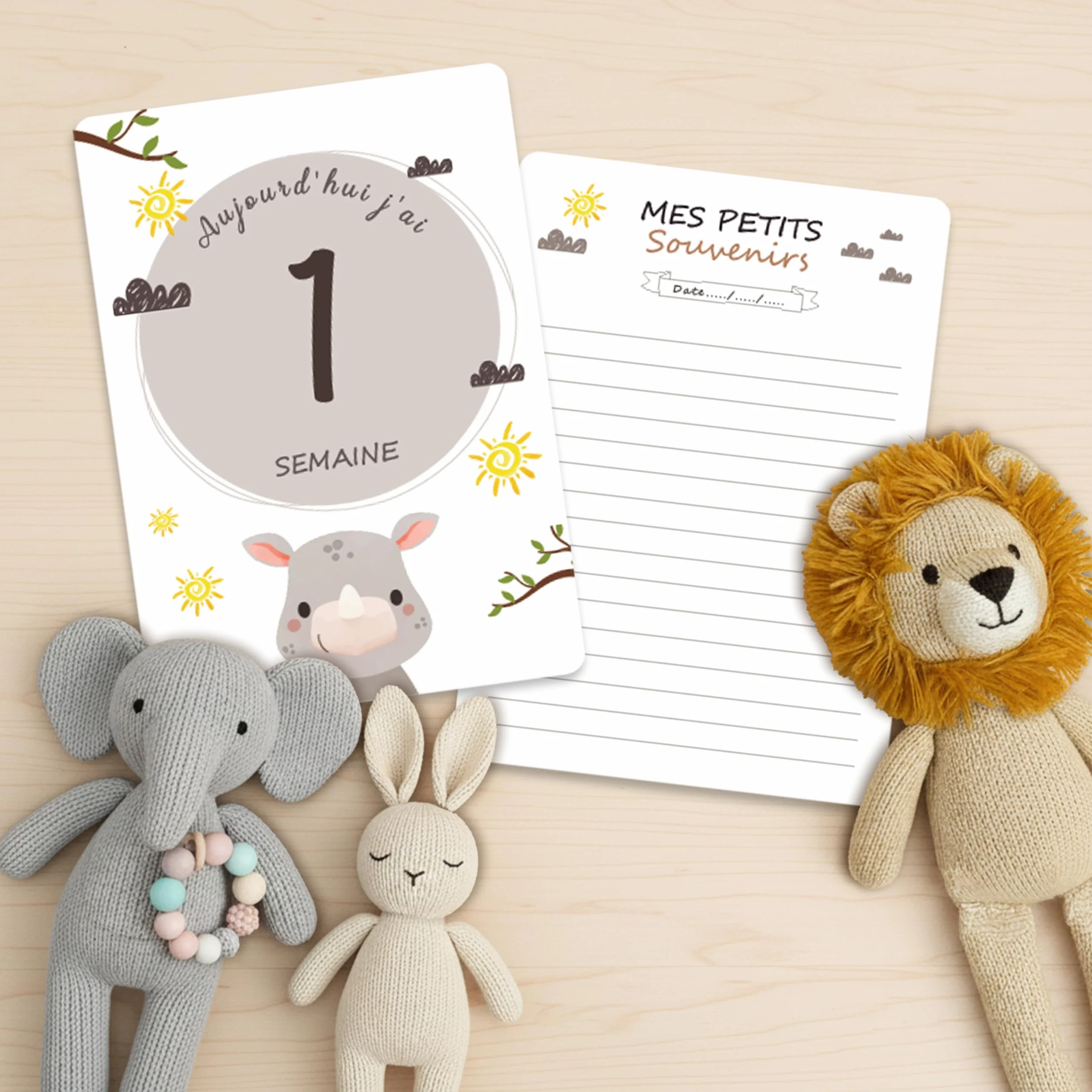 Jeu de cartes développement bébé 24 cartes étapes naissance à 1 an garçons filles
