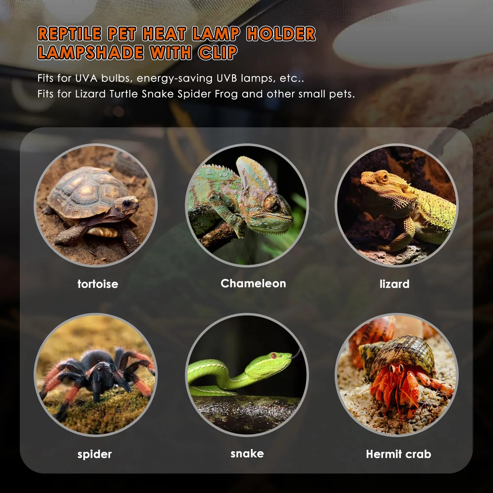 Support de lampe chauffante E27 Dôme profond Clip 5,5 pouces Chauffe-tortue Réservoir reptiles Protection filet
