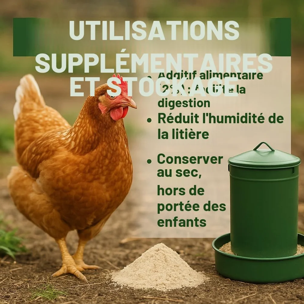GiDeli Terre de diatomée pour poulets 100% pure non calcinée contre l'acarien rouge 10 kg