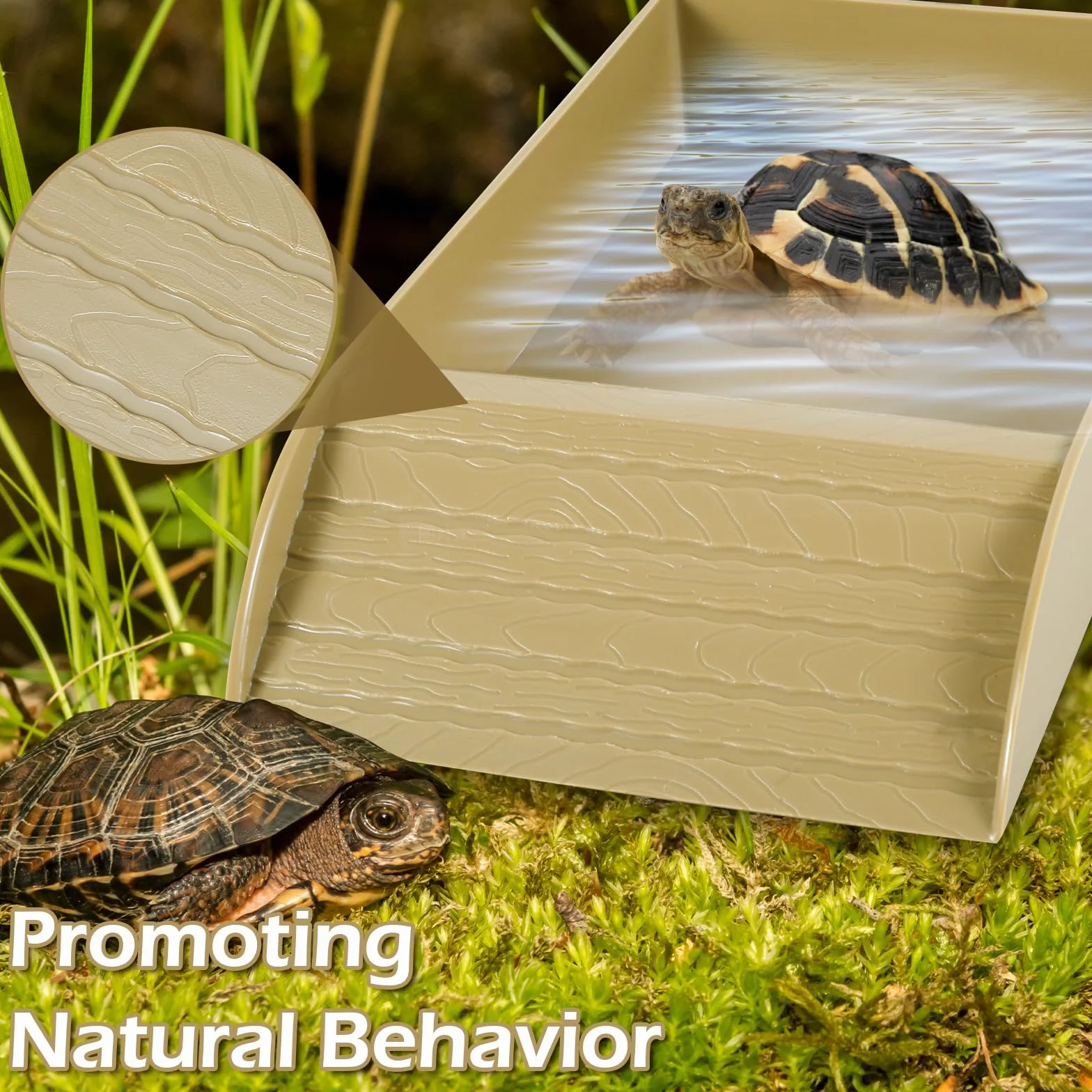 Eummy Gamelle à eau pour tortue - Bol de bain antidérapant avec rampe - Plastique - Accessoires pour tortue