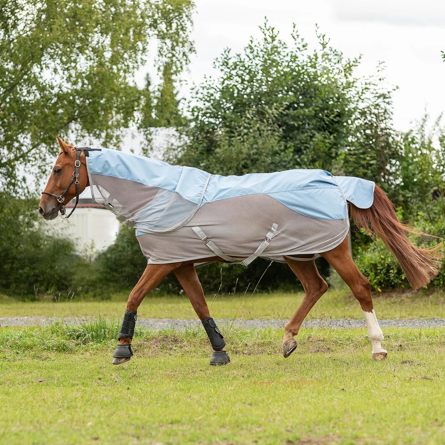 Couverture Pluie Anti-Mouches 0g Cheval Oslo 1200D Couvre-Cou Amovible Imperméable Colonne Eau 3000 mm Bleu Gris 145 cm