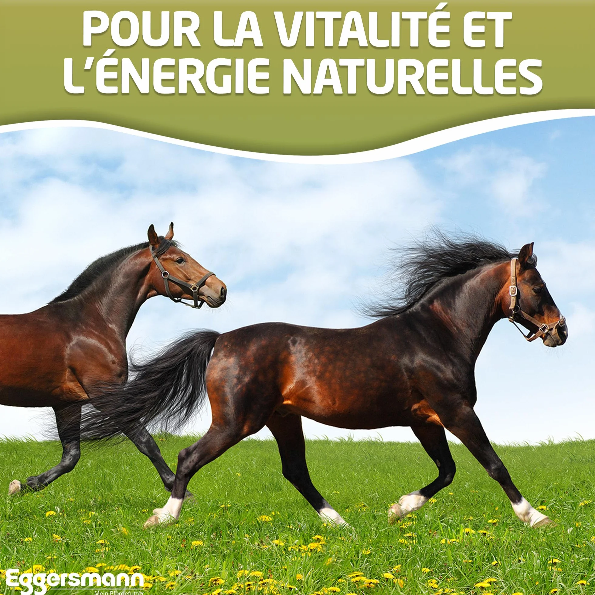 Eggersmann Flocons d'orge 15 kg aliment chevaux poneys poules petits animaux