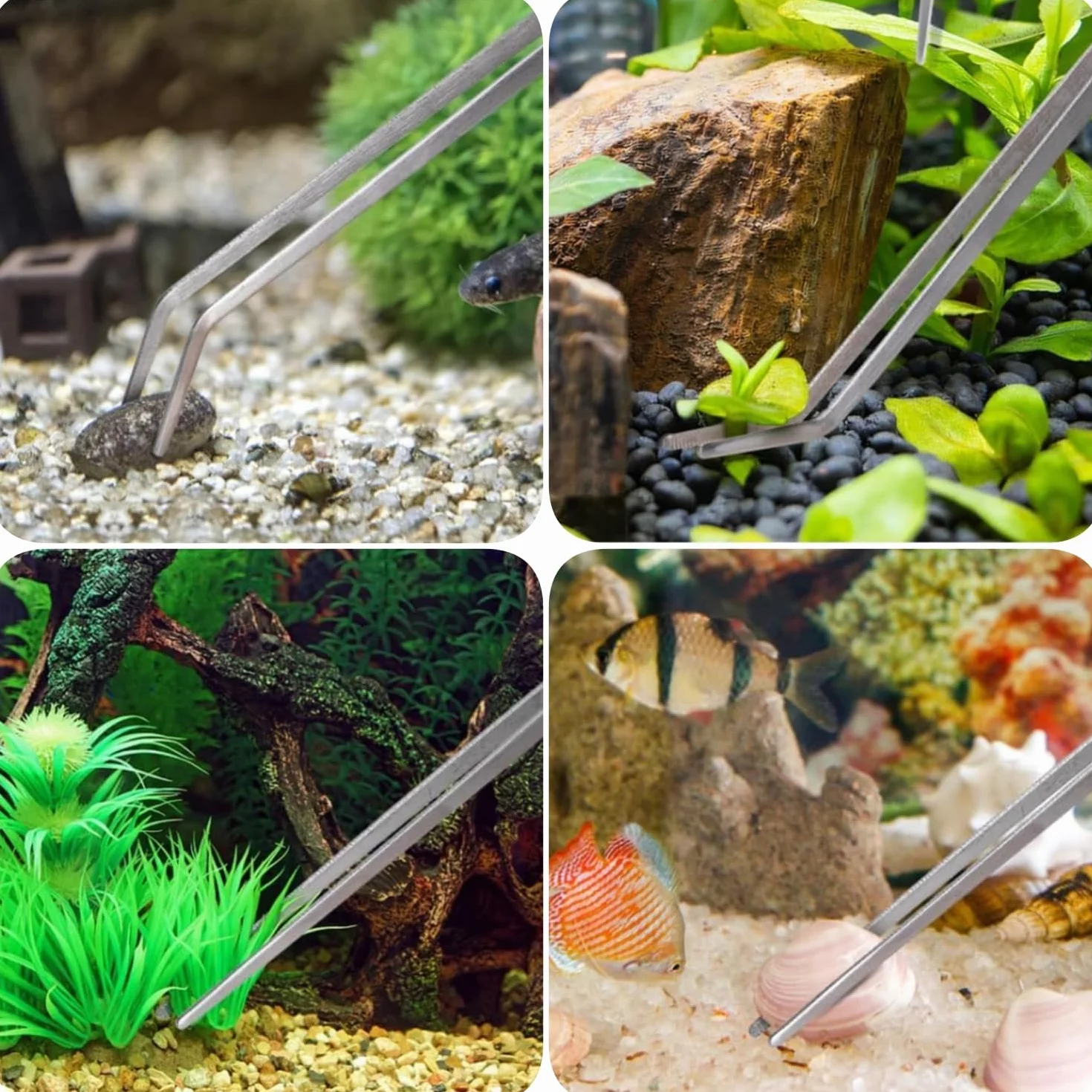 Ensemble d'outils d'aquarium en acier inoxydable - Ciseaux et pincettes pour plantes