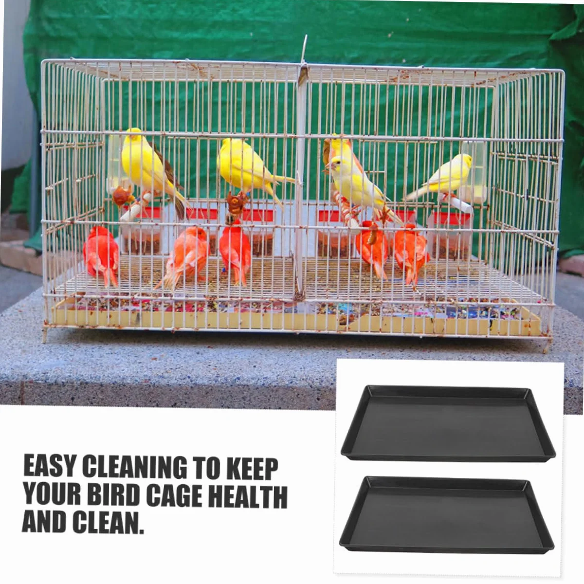 Plateau pour Cages Animaux Plateau Remplaçable pour Oiseaux Design Étanche