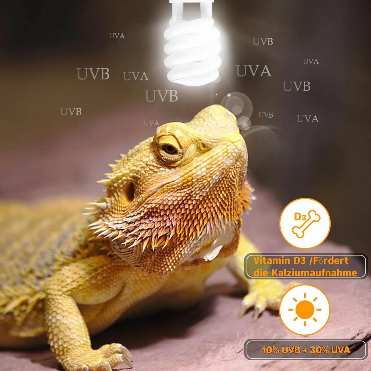 LUCKY HERP Lampe Reptile UVB 10.0 23W Ampoule UVA UVB 150 Fluorescente Compacte pour Terrarium