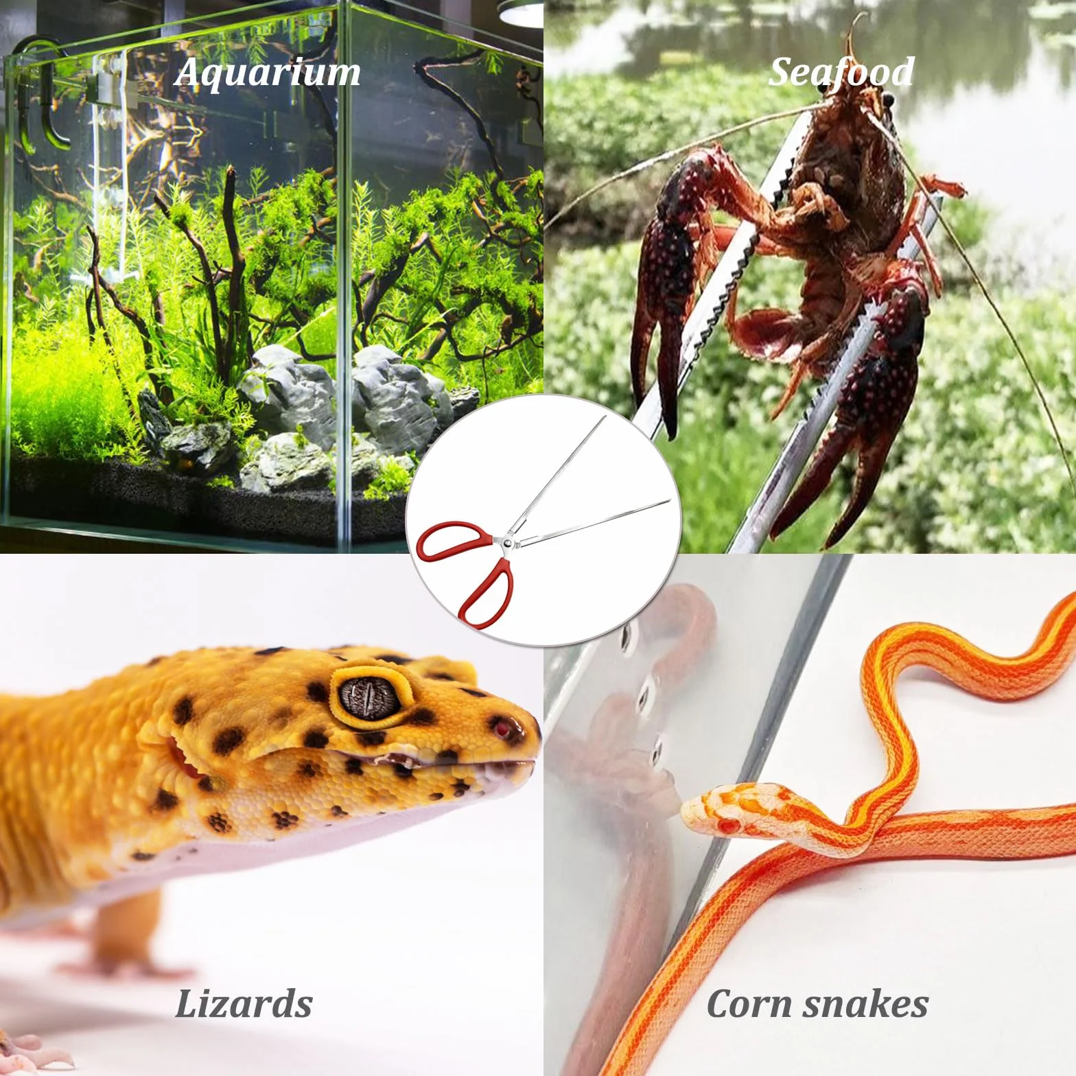 Pince d'alimentation pour reptiles en acier inoxydable à long manche antidérapante