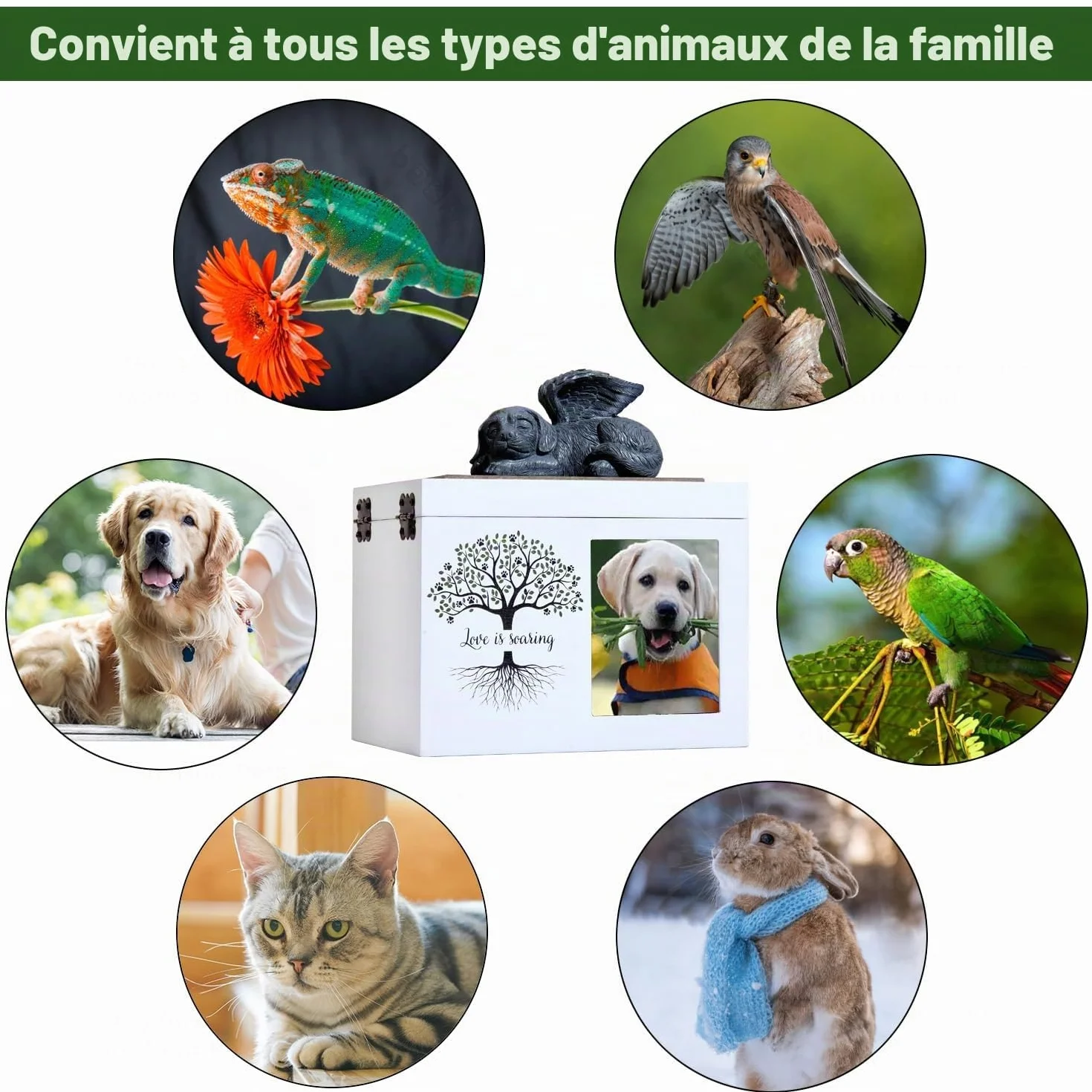 Urne funéraire pour Chien ou Chat en Bois avec Cadre Photo - Boîte à Souvenirs Doublure Flanelle Noire