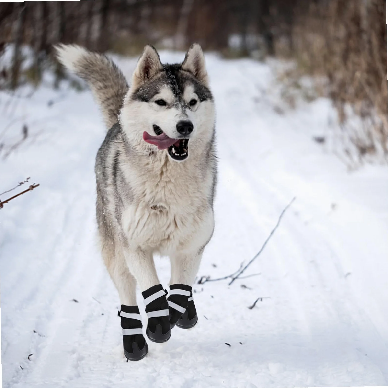 Mipcase 12 Pièces Bottes pour Chien de Compagnie Chien de contrôle de Traction Chaussettes Chaussures pour s de Compagnie Bottes Chaudes pour Chaussures d'hiver pour Black