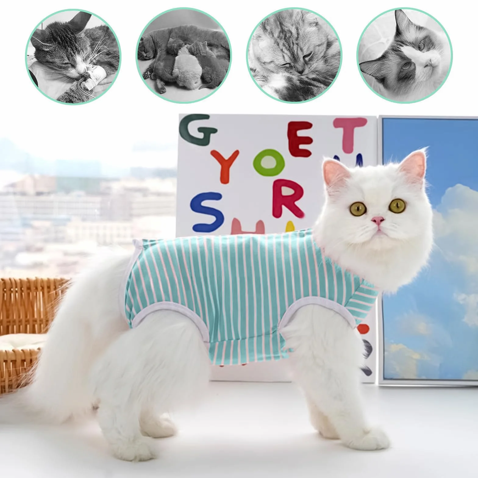 Combinaison de Récupération pour Chat Après Chirurgie, Vêtement Postopératoire, Alternative au Collier Élisabéthain, Bodysuit Anti-Léchage (Vert, S)