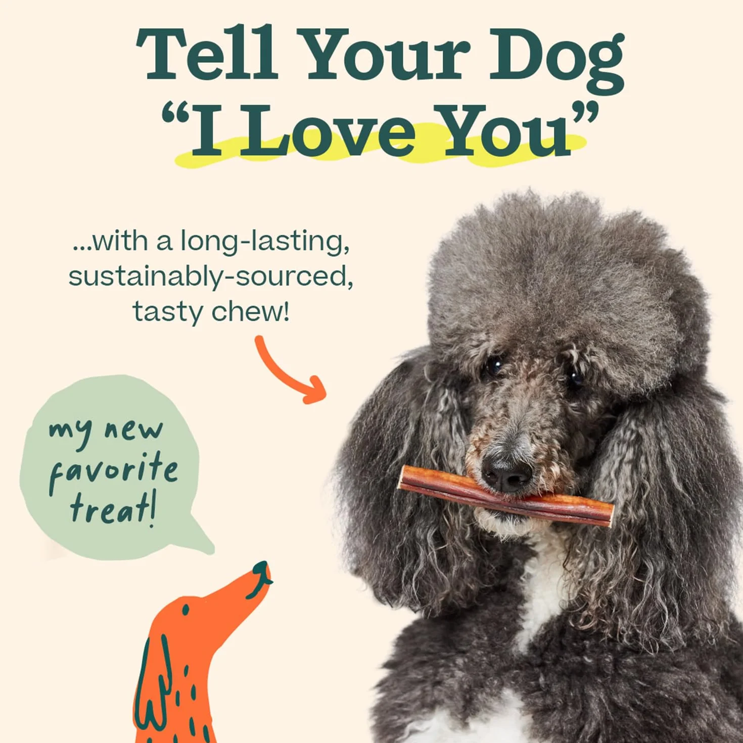 WOOF Bully Sticks Friandises pour chien – Bâtons à mâcher durables en bœuf nourri à l'herbe