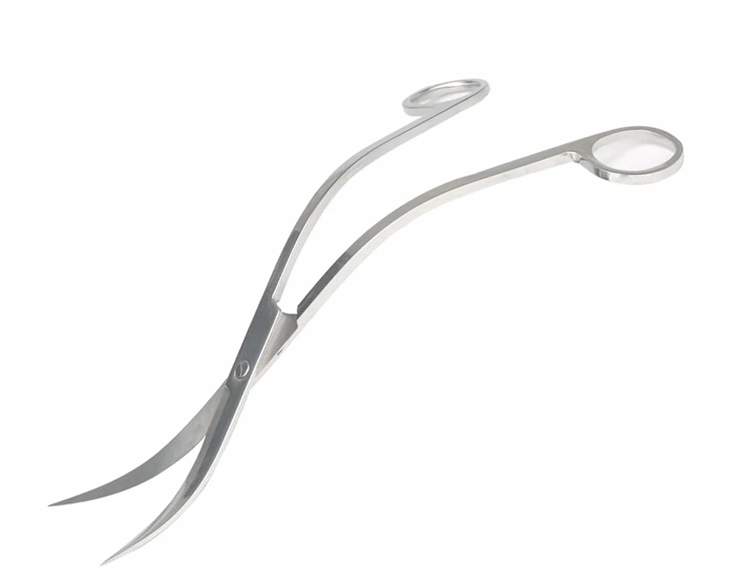 Ciseaux Aquarium Professionnel 25 cm Acier Inoxydable Pointe Courbe pour Réservoir