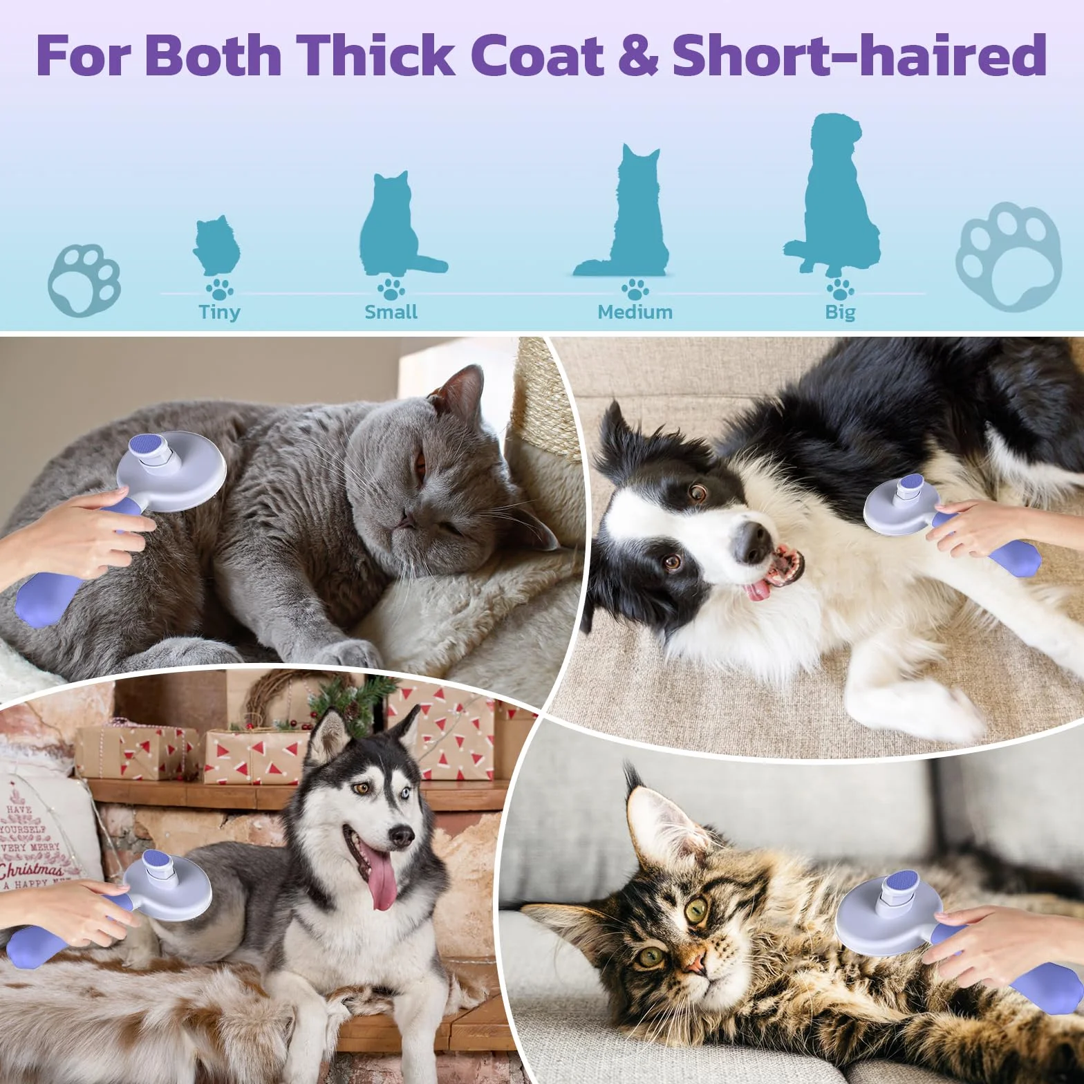 Brosse pour Chats et Chiens Zivacate Auto-nettoyante Poignée Ergonomique Poils Courts et Longs Violet