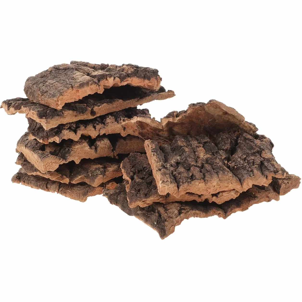 LALAFINA Lot de 10 Écorces Décoratives Naturelles pour Terrarium Reptiles Lézards Tortues Petite 5-9 CM Bois Sûr