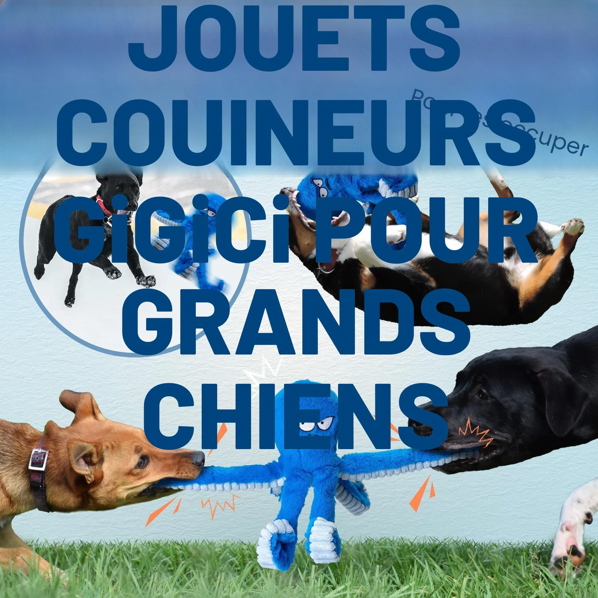 Pieuvre Bleue Jouet à Mâcher pour Chiens de Grande Taille - Jouet Interactif Couineur